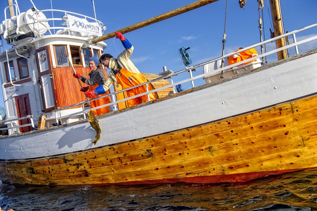 Agurtxane Concellon - Hurtigruten  - Dincolo de Cercul Polar – Circuit Bodø si Insulele Lofoten